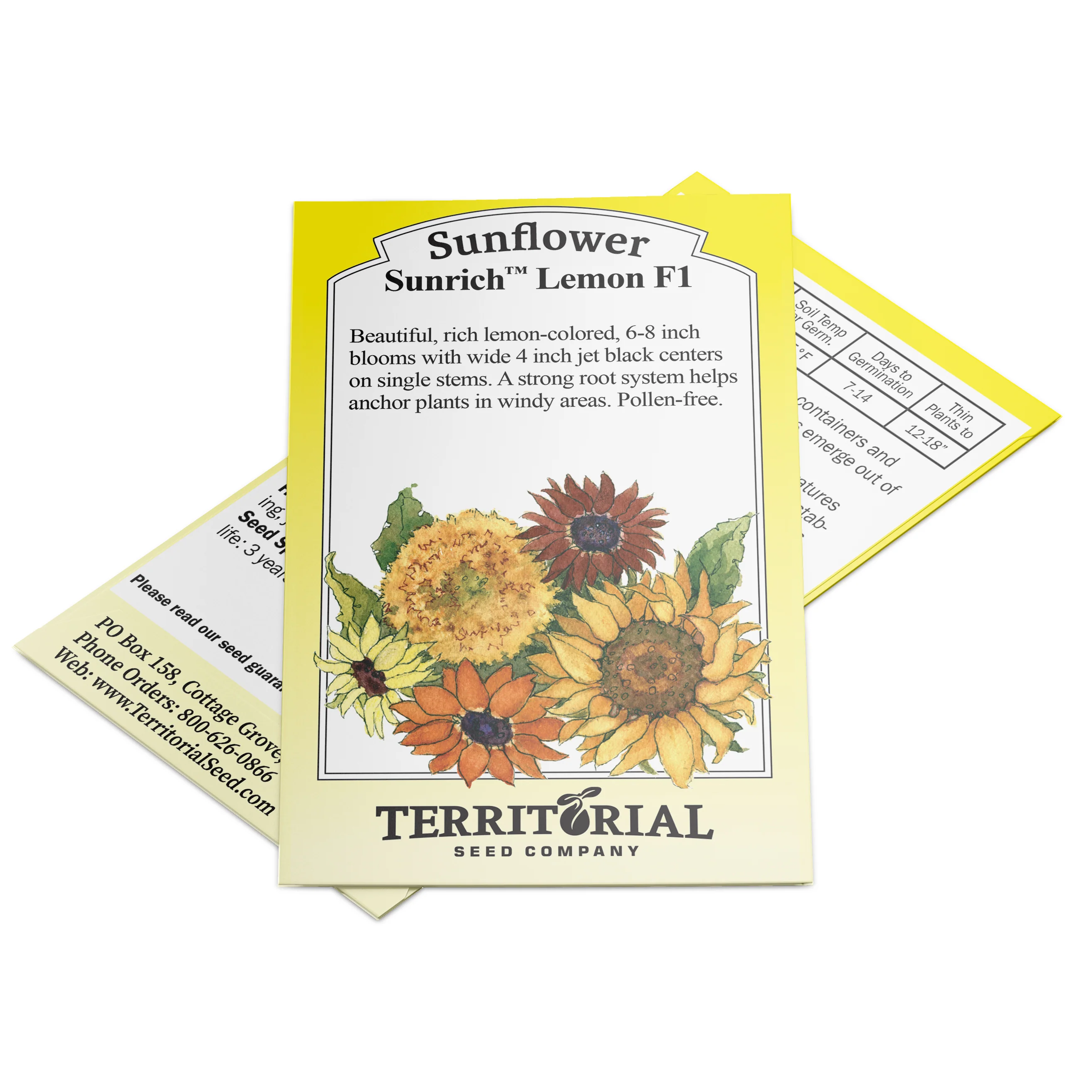 Sunrich™ Lemon Sunflower - Image 2