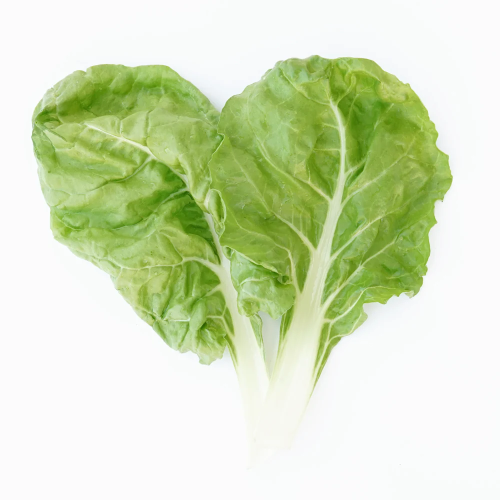 Lyon Swiss Chard