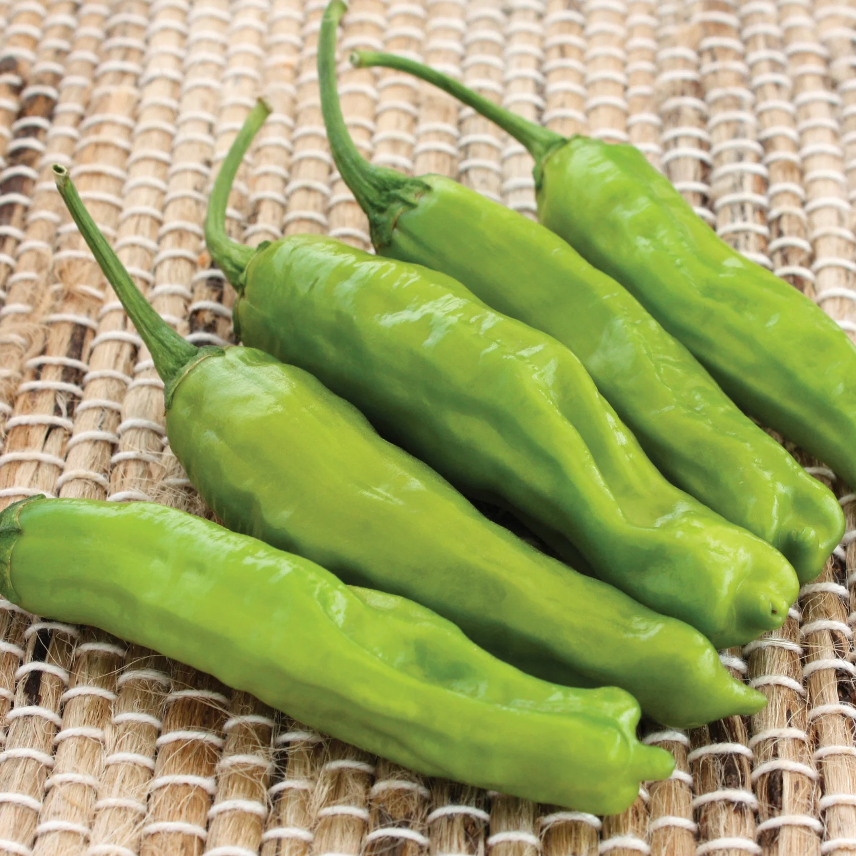 Takara Pepper - Image 2