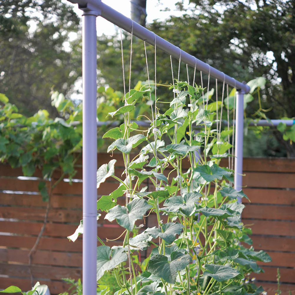 The Freyr Trellis