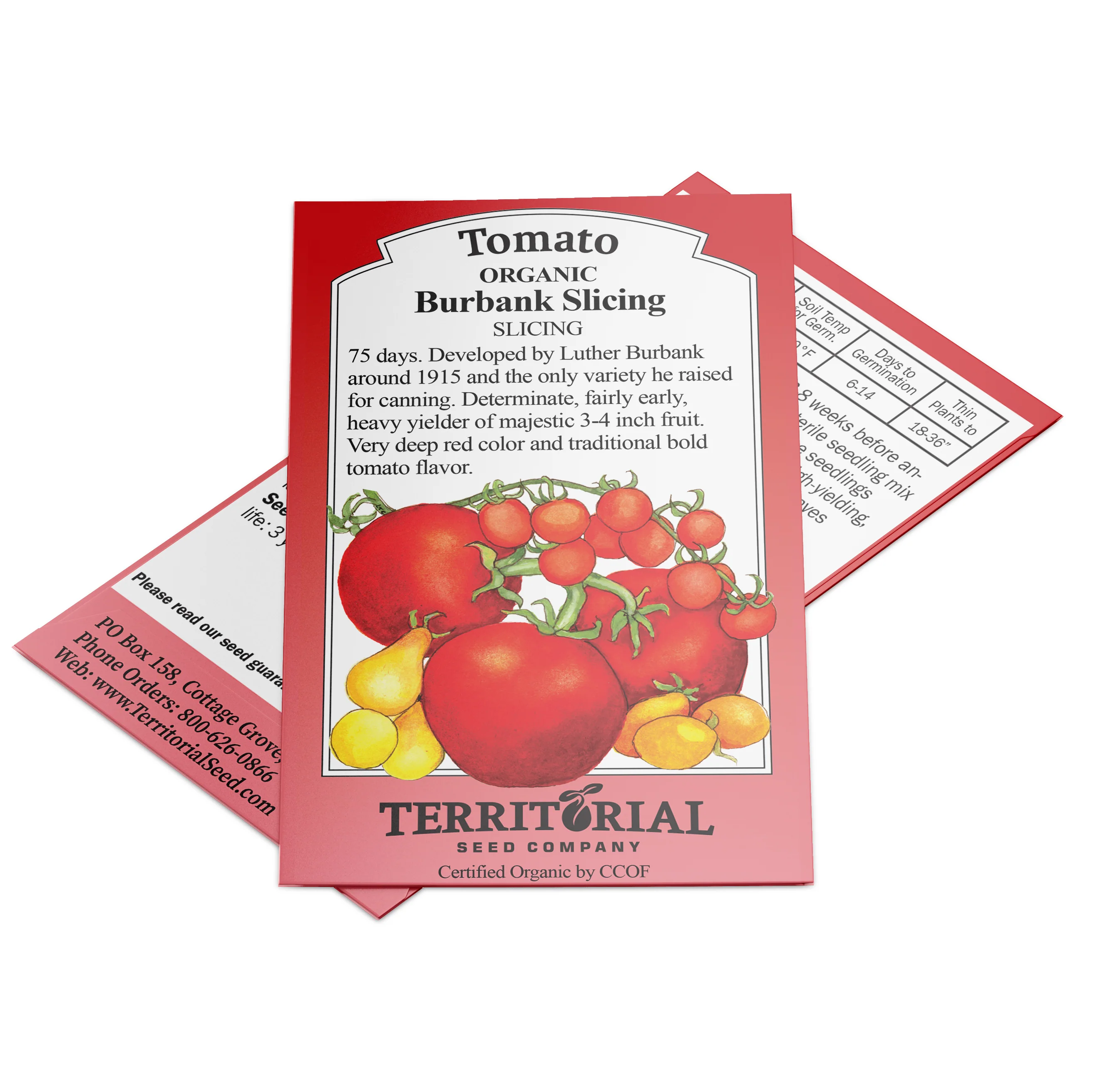 Burbank Slicing Tomato - Image 4
