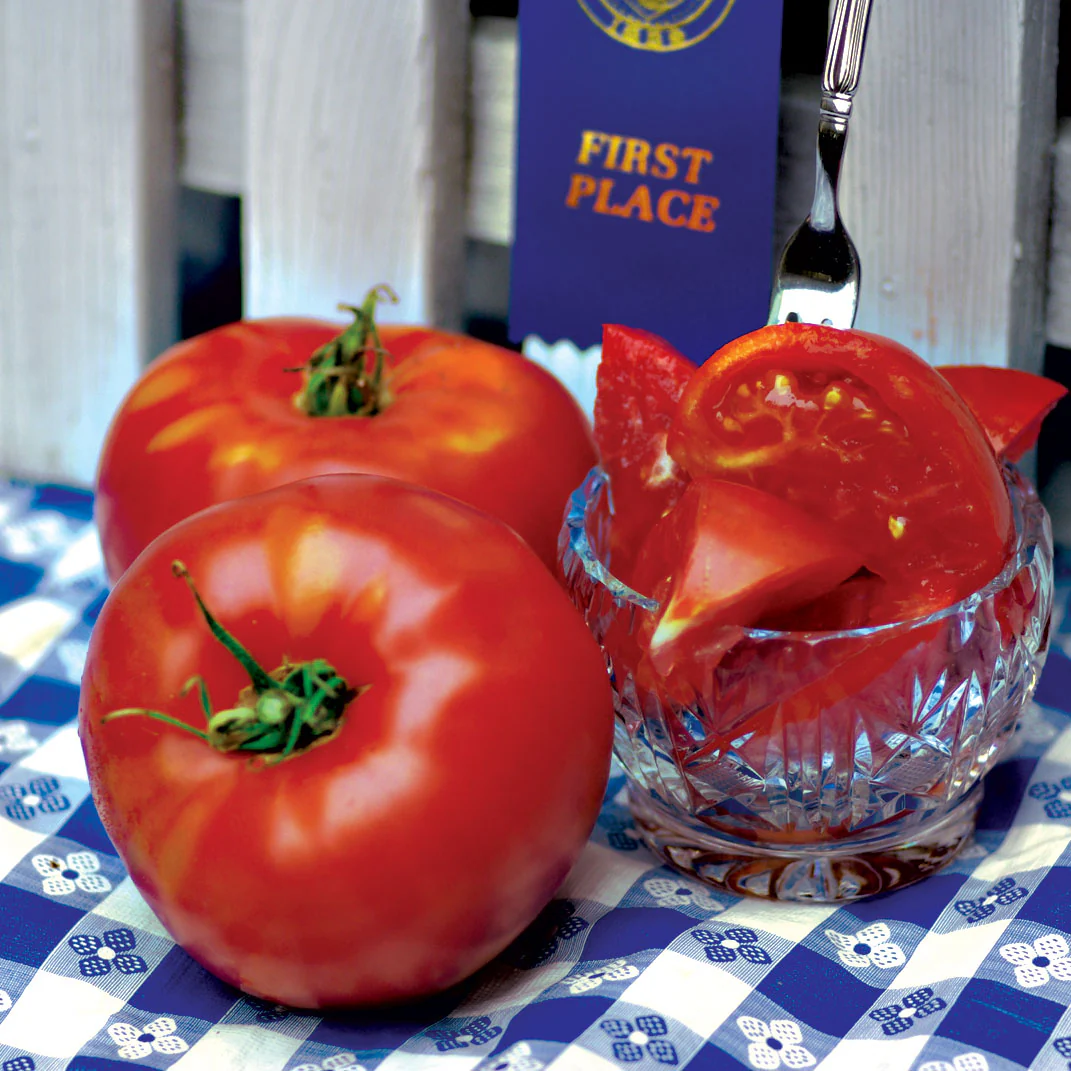 Fantastic Tomato - Image 3