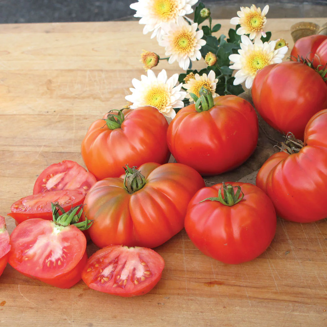Grandma's Pick Tomato - Image 5