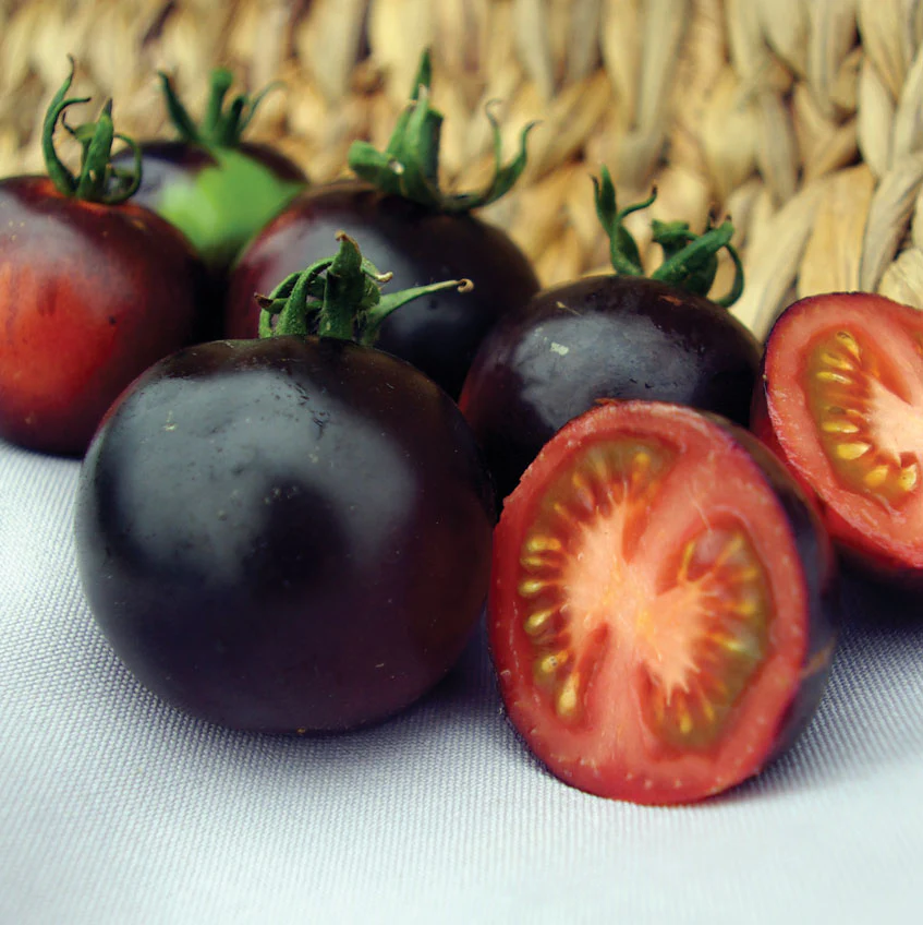 Indigo™ Rose Tomato