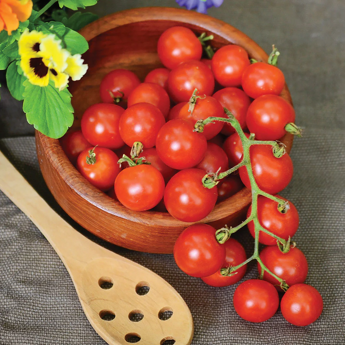 Lizzano Tomato