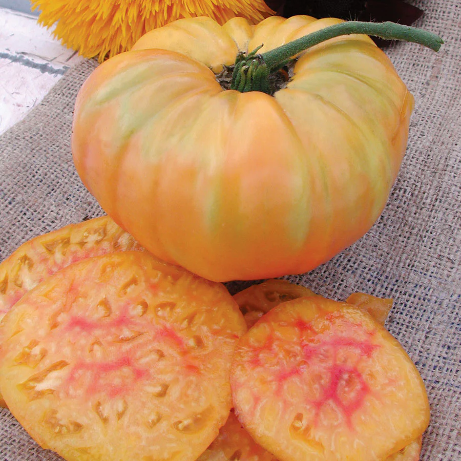 Pineapple Tomato - Image 3
