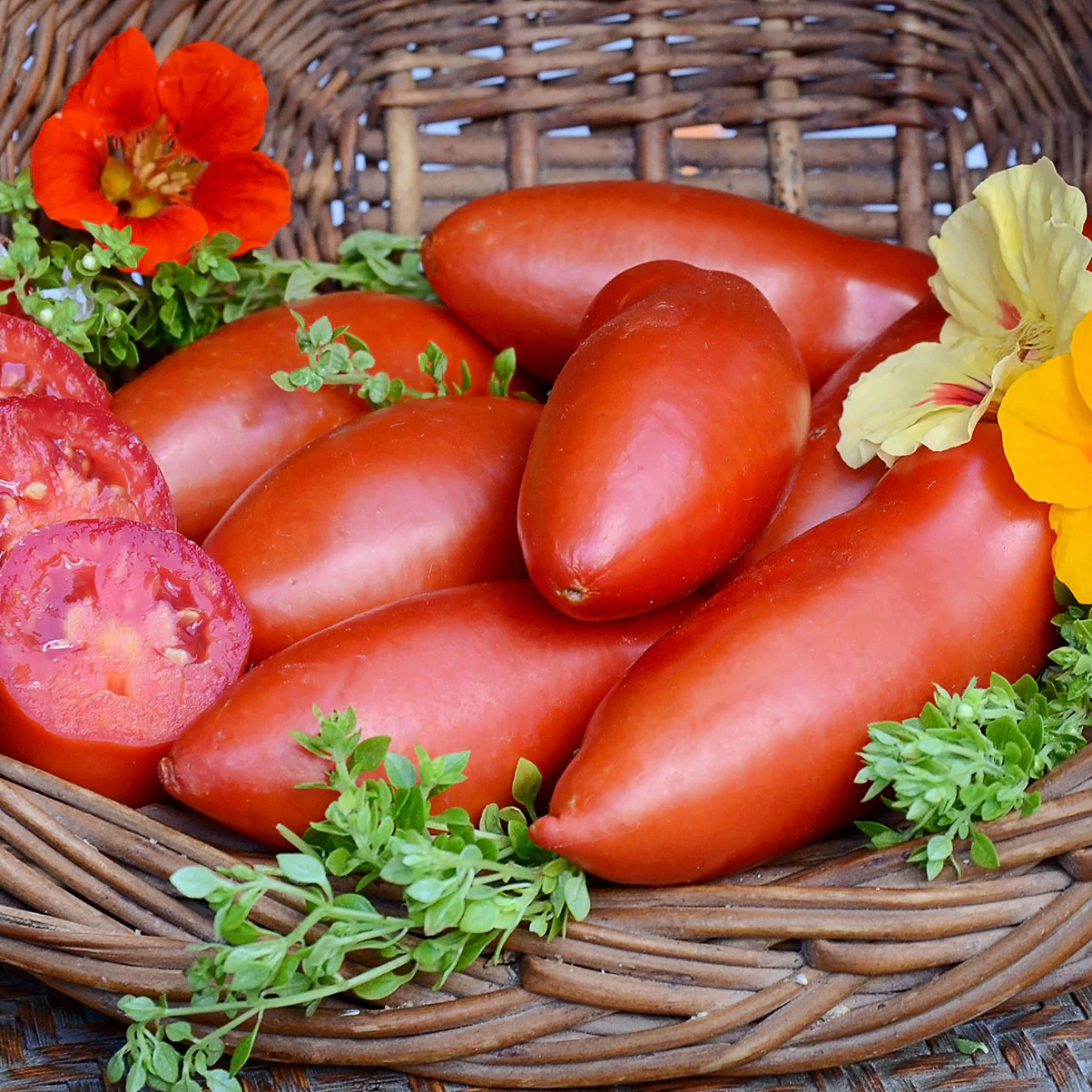 Pozzano Tomato