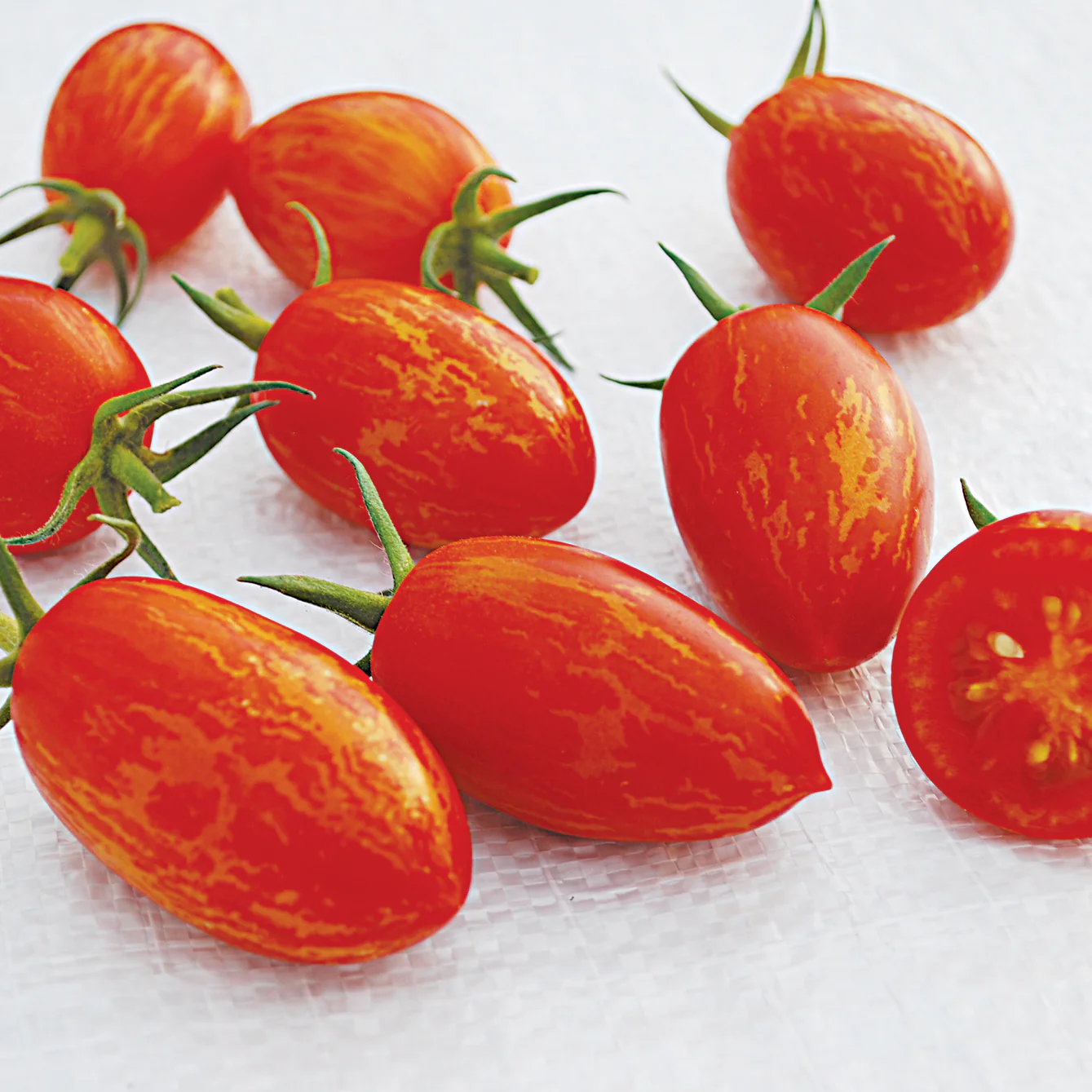 Red Torch Tomato - Image 3