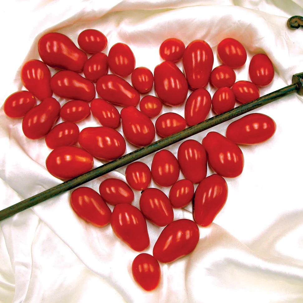 Sweet Hearts Tomato - Image 5