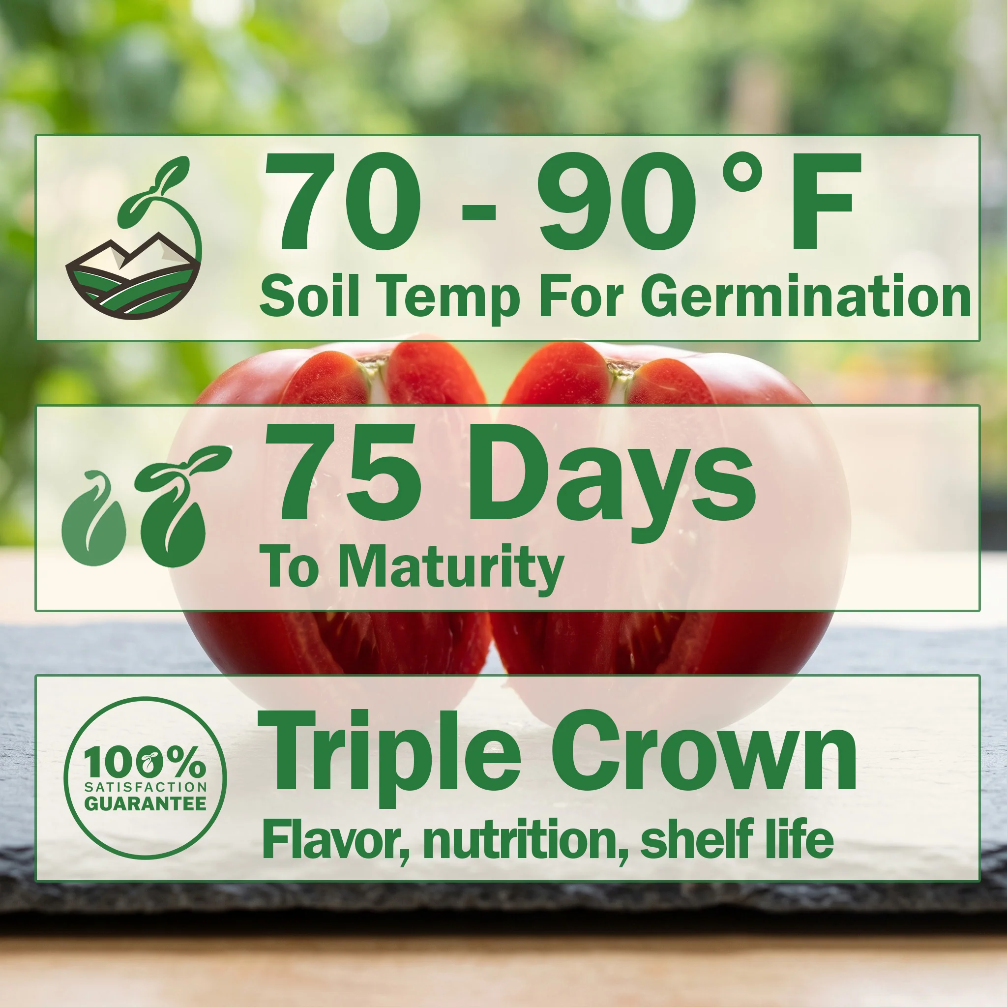 Tasti-Lee® Tomato - Image 2