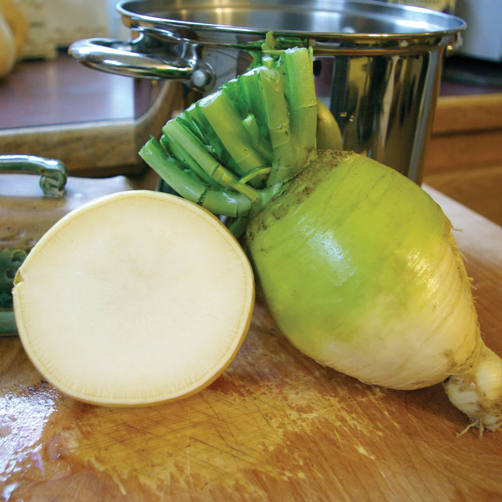 Golden Ball Turnip - Image 3