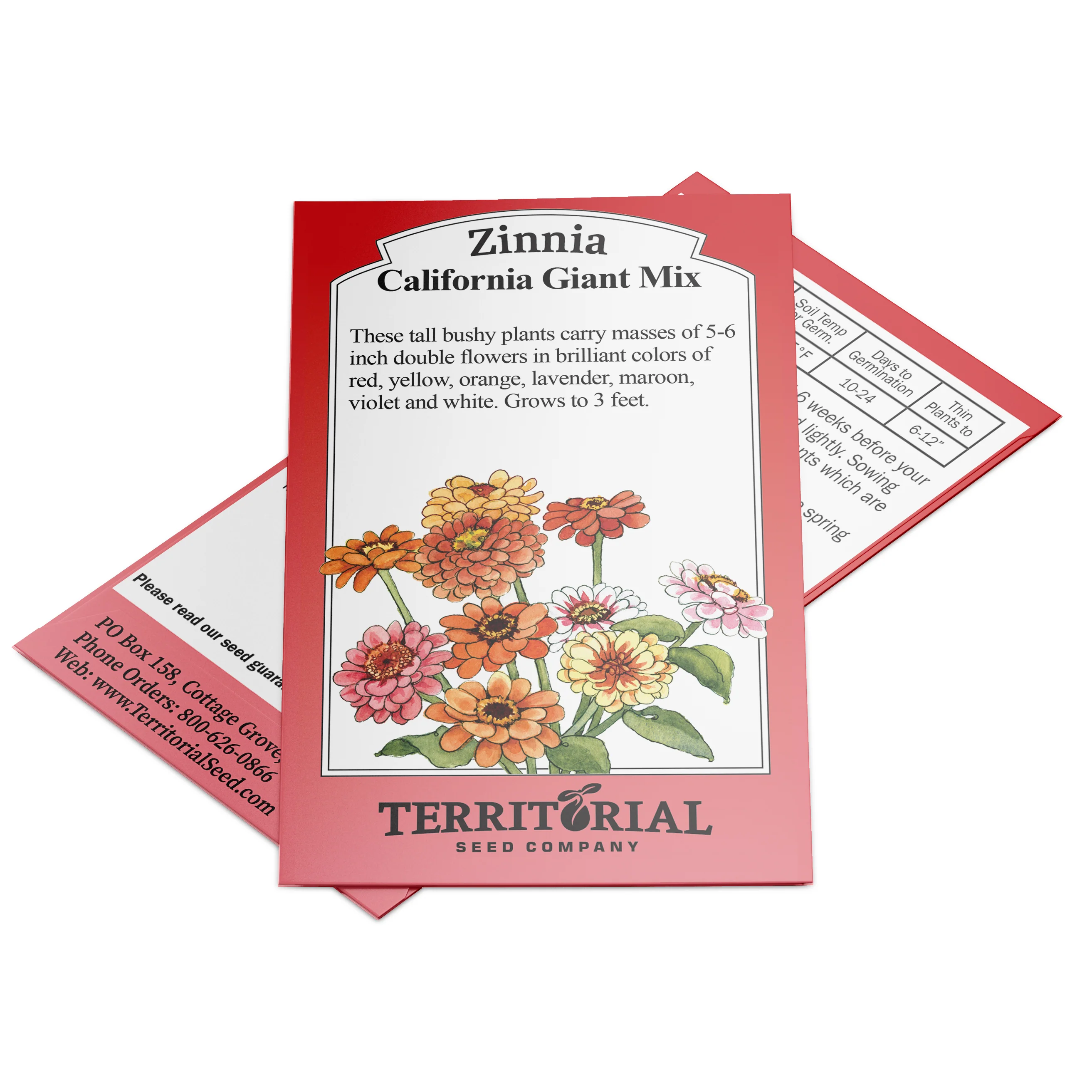 California Giant Mix Zinnia - Image 3